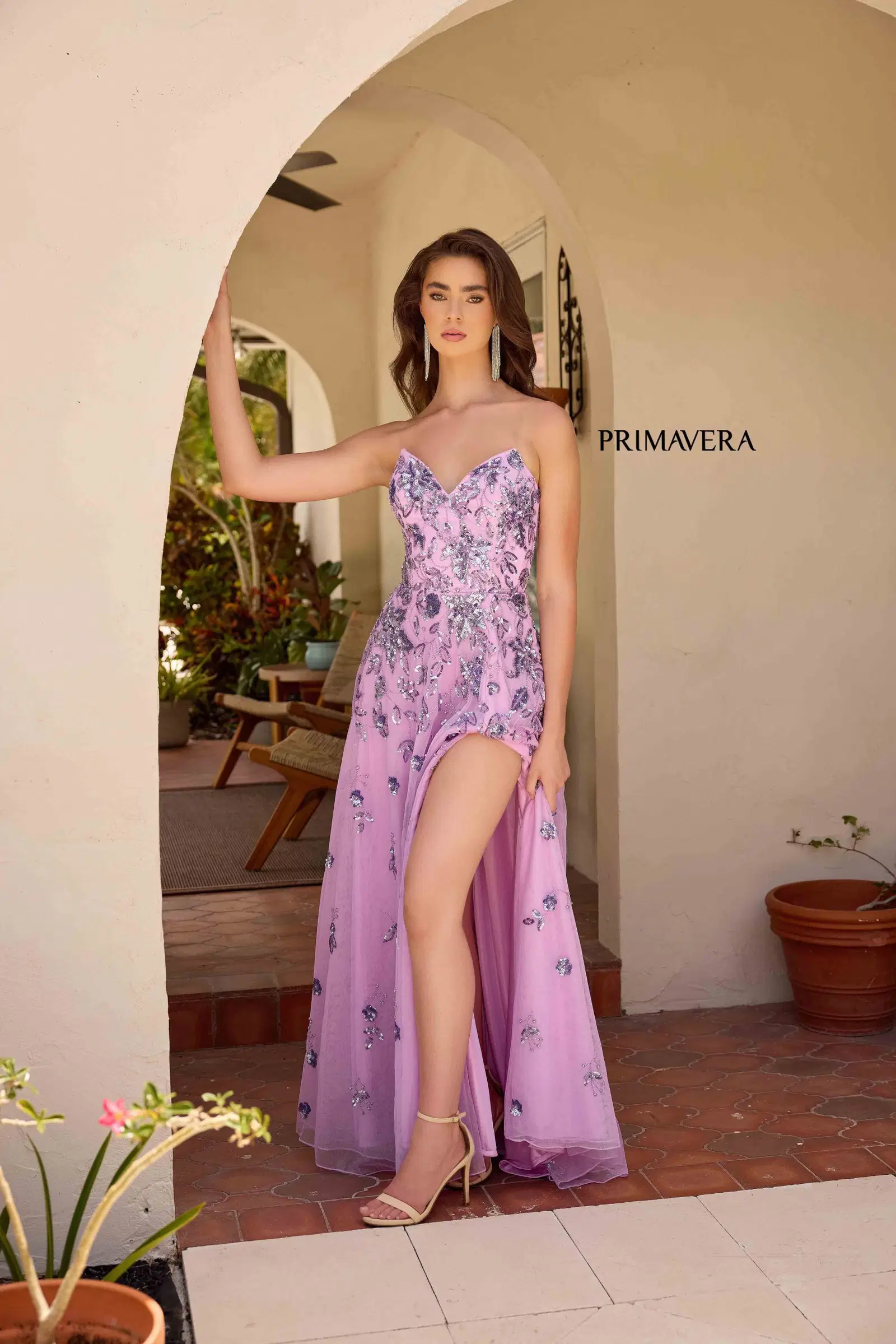 Primavera 4361 - Image 4
